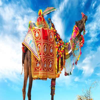 Pushkar Fair Sightseeing